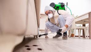 Best Bed Bug Extermination  in Niagara Falls, NY